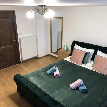 Ultra Central Apartment, Free Parking Oradea - Stray Cats Buitenkant foto