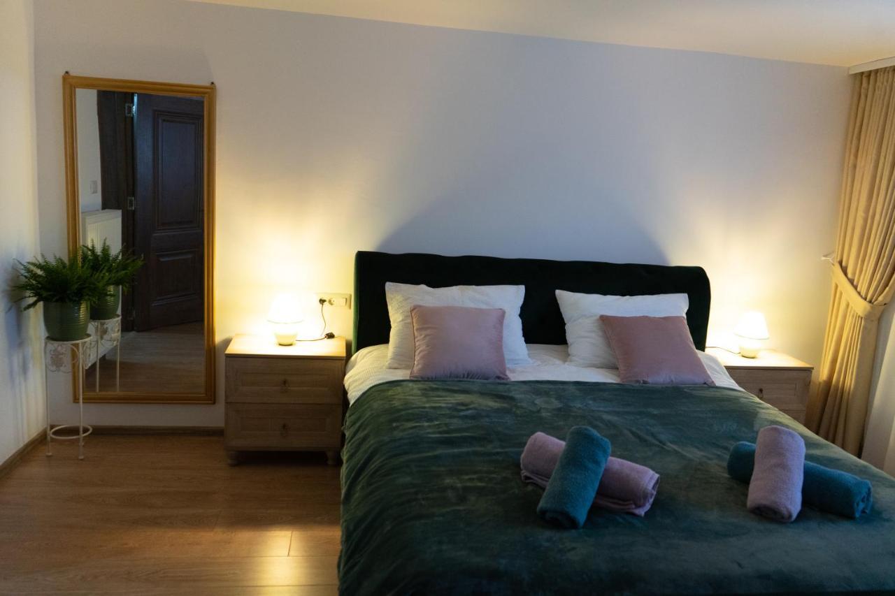 Ultra Central Apartment, Free Parking Oradea - Stray Cats Buitenkant foto